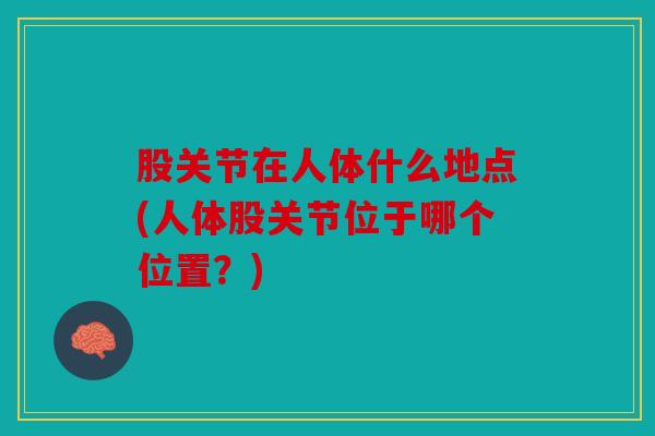股关节在人体什么地点(人体股关节位于哪个位置？)-第1张图片-关节骑士