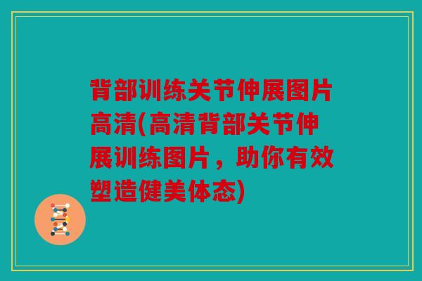 背部训练关节伸展图片高清(高清背部关节伸展训练图片，助你有效塑造健美体态)