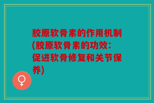 胶原软骨素的作用机制(胶原软骨素的功效：促进软骨修复和关节保养)