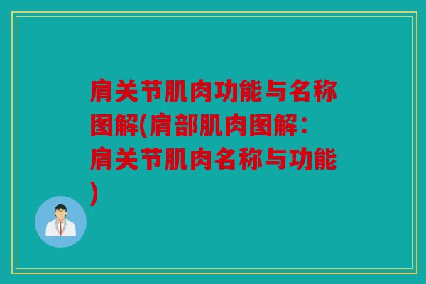 肩关节肌肉功能与名称图解(肩部肌肉图解：肩关节肌肉名称与功能)