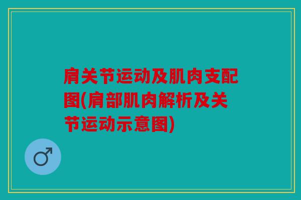 肩关节运动及肌肉支配图(肩部肌肉解析及关节运动示意图)