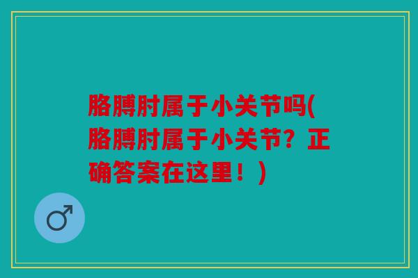 胳膊肘属于小关节吗(胳膊肘属于小关节？正确答案在这里！)