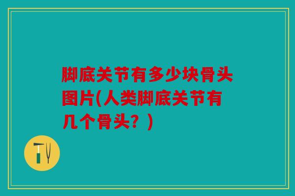 脚底关节有多少块骨头图片(人类脚底关节有几个骨头？)