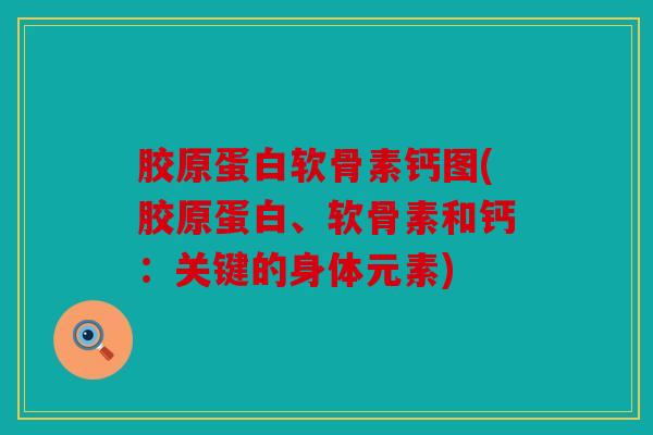 胶原蛋白软骨素钙图(胶原蛋白、软骨素和钙：关键的身体元素)