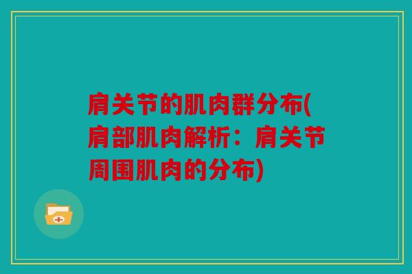 肩关节的肌肉群分布(肩部肌肉解析：肩关节周围肌肉的分布)