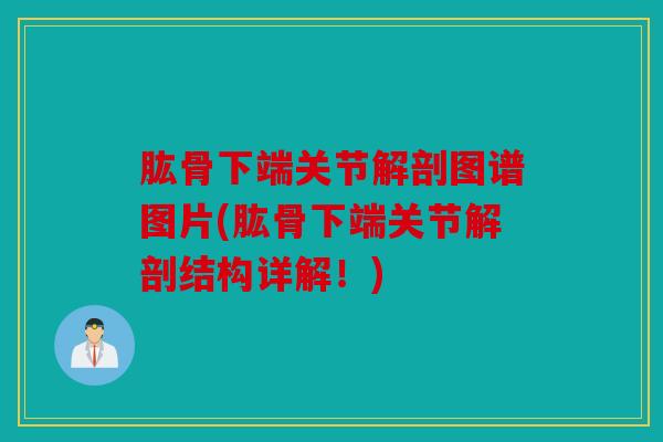 肱骨下端关节解剖图谱图片(肱骨下端关节解剖结构详解！)
