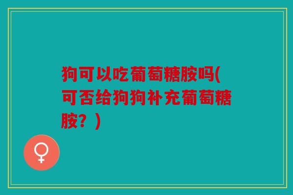 狗可以吃葡萄糖胺吗(可否给狗狗补充葡萄糖胺？)