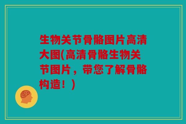 生物关节骨骼图片高清大图(高清骨骼生物关节图片，带您了解骨骼构造！)