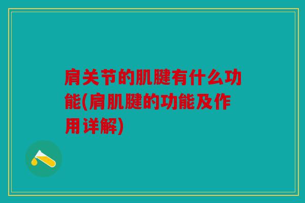 肩关节的肌腱有什么功能(肩肌腱的功能及作用详解)