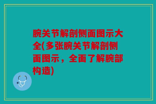 腕关节解剖侧面图示大全(多张腕关节解剖侧面图示，全面了解腕部构造)