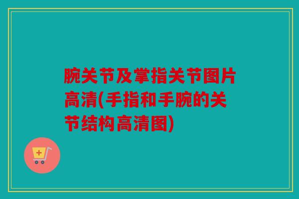腕关节及掌指关节图片高清(手指和手腕的关节结构高清图)