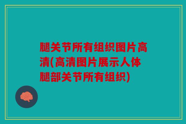腿关节所有组织图片高清(高清图片展示人体腿部关节所有组织)