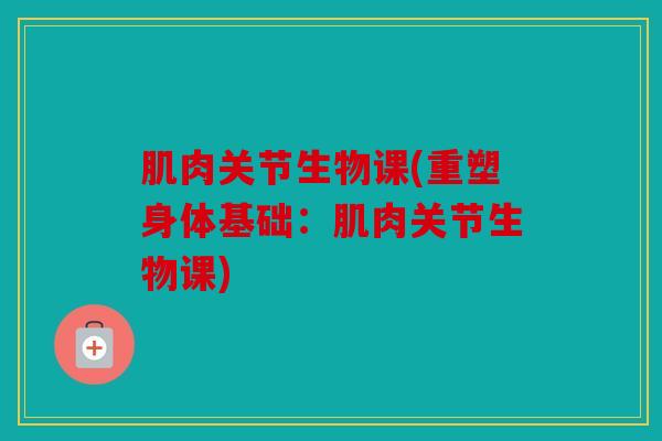 肌肉关节生物课(重塑身体基础：肌肉关节生物课)