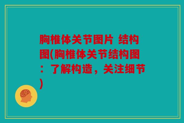 胸椎体关节图片 结构图(胸椎体关节结构图：了解构造，关注细节)