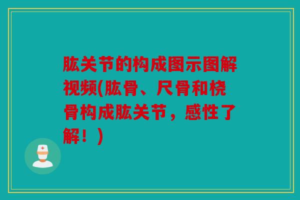 肱关节的构成图示图解视频(肱骨、尺骨和桡骨构成肱关节，感性了解！)