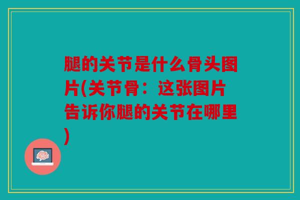 腿的关节是什么骨头图片(关节骨：这张图片告诉你腿的关节在哪里)