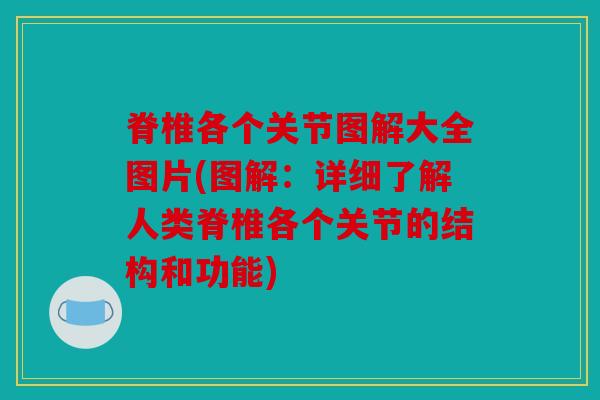 脊椎各个关节图解大全图片(图解：详细了解人类脊椎各个关节的结构和功能)