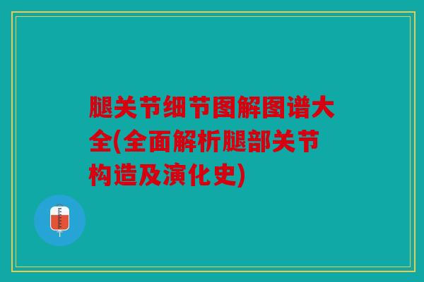 腿关节细节图解图谱大全(全面解析腿部关节构造及演化史)