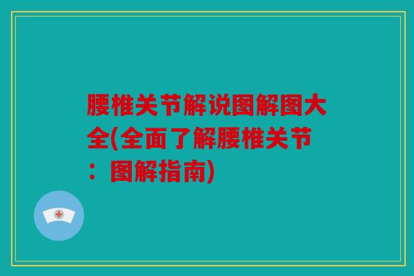腰椎关节解说图解图大全(全面了解腰椎关节：图解指南)