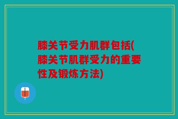 膝关节受力肌群包括(膝关节肌群受力的重要性及锻炼方法)