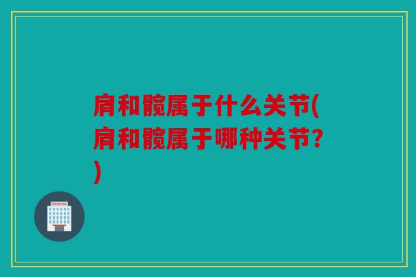 肩和髋属于什么关节(肩和髋属于哪种关节？)