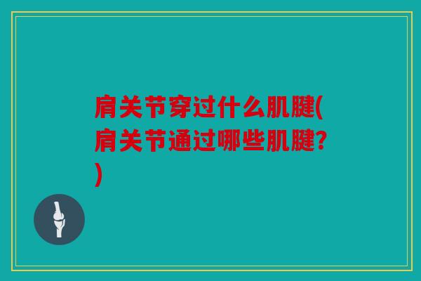 肩关节穿过什么肌腱(肩关节通过哪些肌腱？)