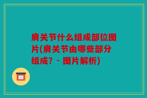肩关节什么组成部位图片(肩关节由哪些部分组成？- 图片解析)