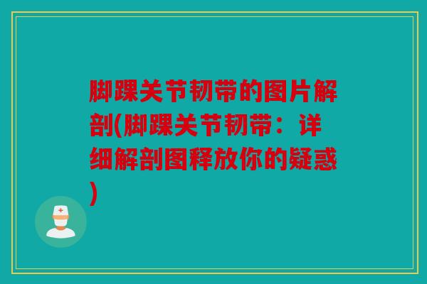 脚踝关节韧带的图片解剖(脚踝关节韧带：详细解剖图释放你的疑惑)