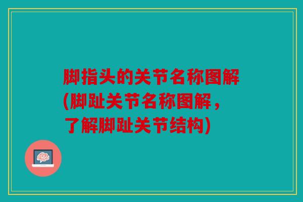 脚指头的关节名称图解(脚趾关节名称图解，了解脚趾关节结构)