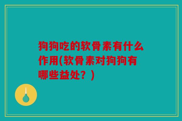 狗狗吃的软骨素有什么作用(软骨素对狗狗有哪些益处？)