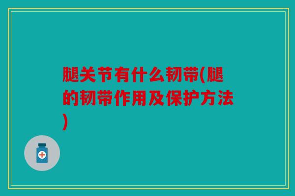 腿关节有什么韧带(腿的韧带作用及保护方法)