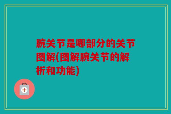 腕关节是哪部分的关节图解(图解腕关节的解析和功能)