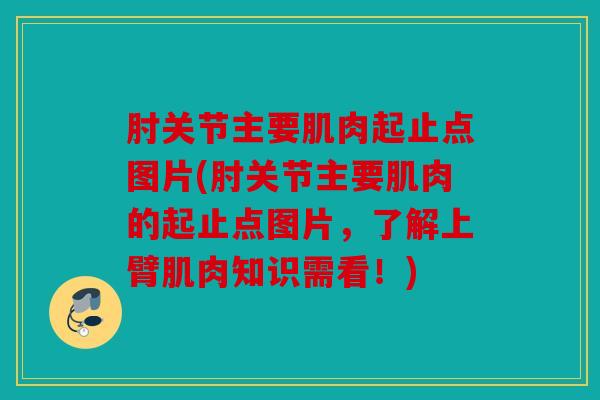 肘关节主要肌肉起止点图片(肘关节主要肌肉的起止点图片，了解上臂肌肉知识需看！)