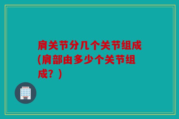 肩关节分几个关节组成(肩部由多少个关节组成？)