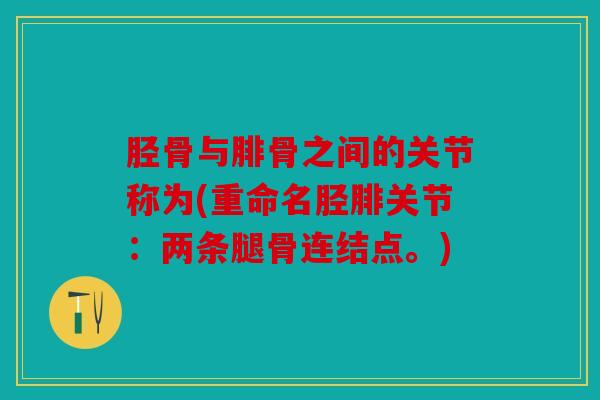 胫骨与腓骨之间的关节称为(重命名胫腓关节：两条腿骨连结点。)