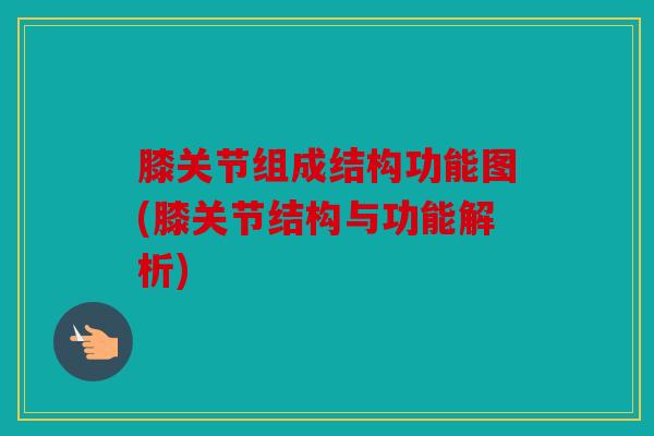 膝关节组成结构功能图(膝关节结构与功能解析)
