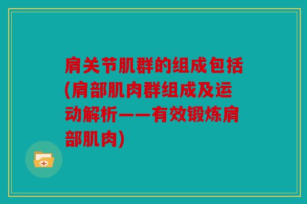 肩关节肌群的组成包括(肩部肌肉群组成及运动解析——有效锻炼肩部肌肉)