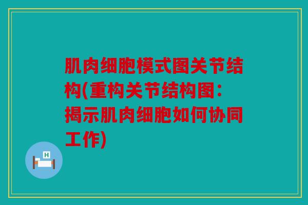 肌肉细胞模式图关节结构(重构关节结构图：揭示肌肉细胞如何协同工作)-第1张图片-关节骑士