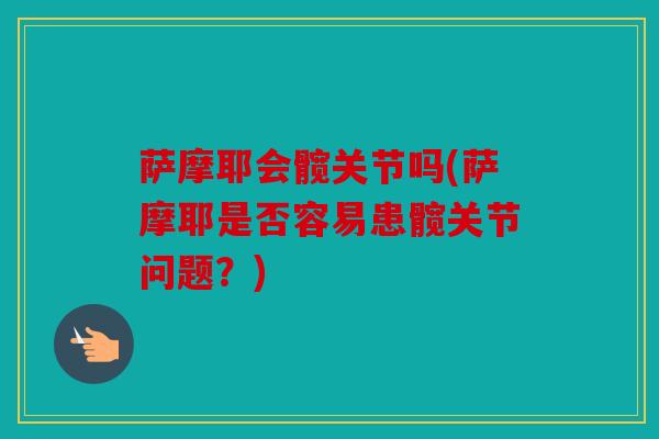 萨摩耶会髋关节吗(萨摩耶是否容易患髋关节问题？)