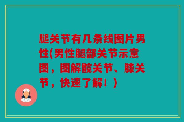 腿关节有几条线图片男性(男性腿部关节示意图，图解髋关节、膝关节，快速了解！)
