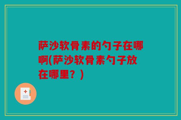 萨沙软骨素的勺子在哪啊(萨沙软骨素勺子放在哪里？)