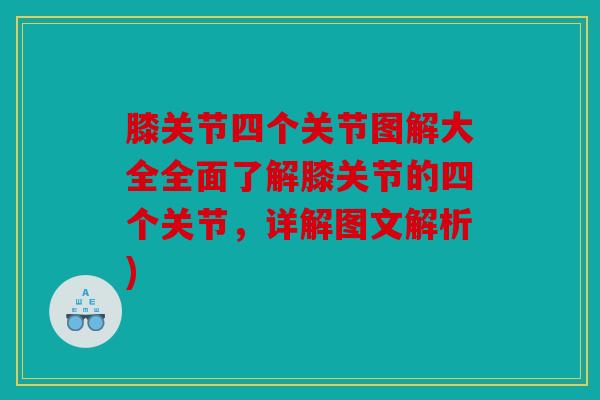 膝关节四个关节图解大全全面了解膝关节的四个关节，详解图文解析)