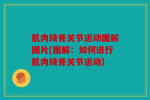 肌肉绕骨关节运动图解图片(图解：如何进行肌肉绕骨关节运动)