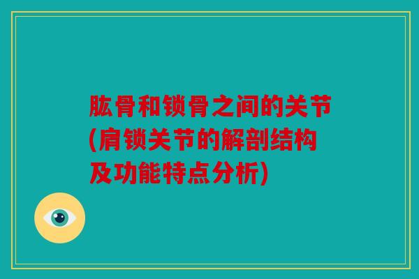 肱骨和锁骨之间的关节(肩锁关节的解剖结构及功能特点分析)