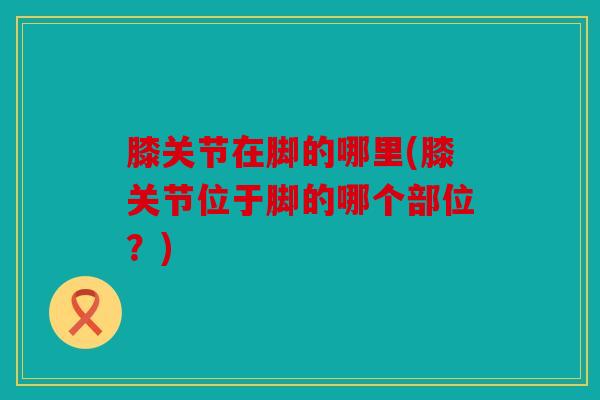 膝关节在脚的哪里(膝关节位于脚的哪个部位？)