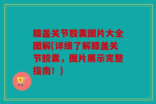 膝盖关节胶囊图片大全图解(详细了解膝盖关节胶囊，图片展示完整指南！)