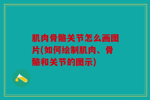 肌肉骨骼关节怎么画图片(如何绘制肌肉、骨骼和关节的图示)