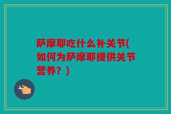 萨摩耶吃什么补关节(如何为萨摩耶提供关节营养？)