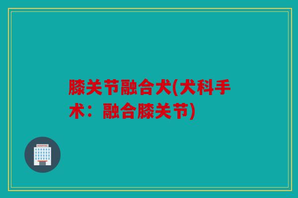 膝关节融合犬(犬科手术：融合膝关节)