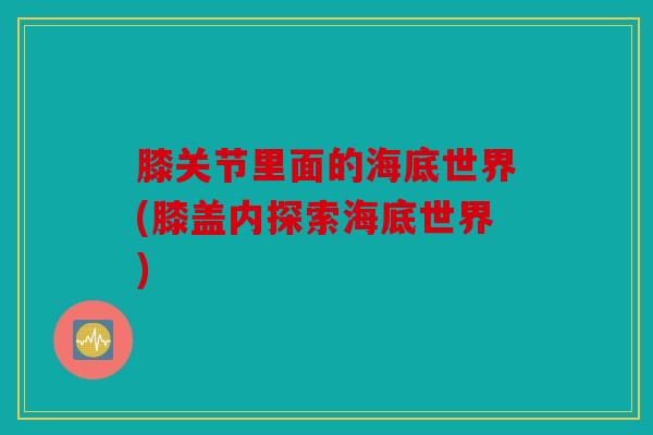 膝关节里面的海底世界(膝盖内探索海底世界)